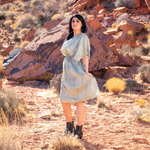 Lakshita Dress